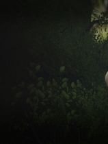 A0784 - 深刻奥秘 Deep Secret Build.12490012+DLC 免安装STEAM中文版[796MB]